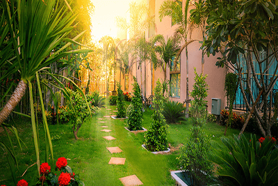 Harisch Blumen Gmbh Ihre Friedhofsgartnerei In Frankfurt Am Main
